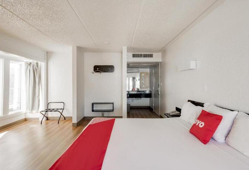 Quarto Standard Cama King, Oyo Houston Katy Freeway