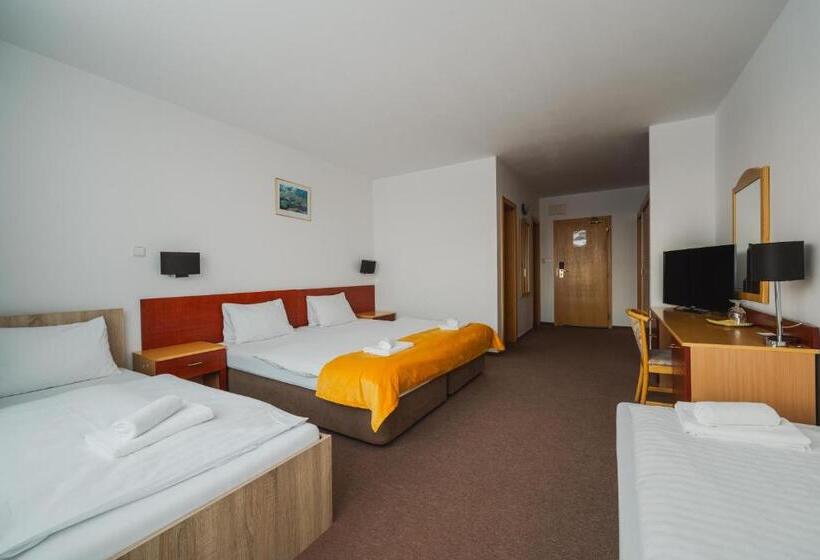 Standard Room, Vila Horec   Depandance Hotela Hubert Vital Resort