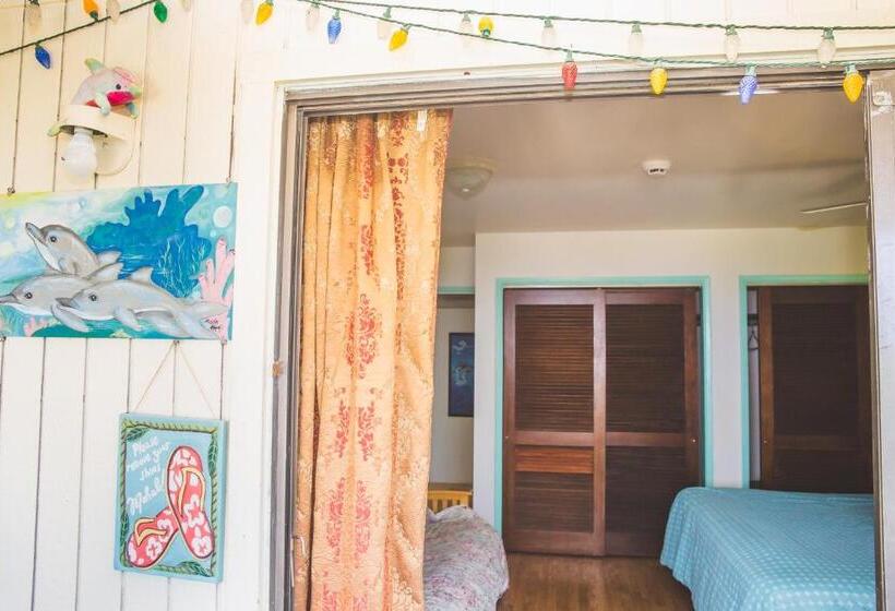 استودیو استاندارد با تخت کینگ, Kona Hawaii Guest House A Unique Hawaii Experience
