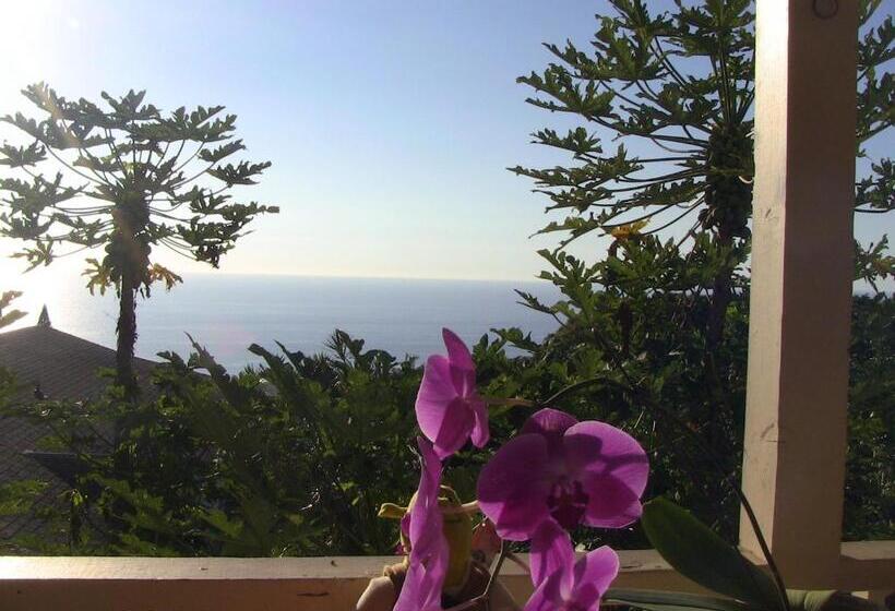 استودیوی سوپریور, Kona Hawaii Guest House A Unique Hawaii Experience