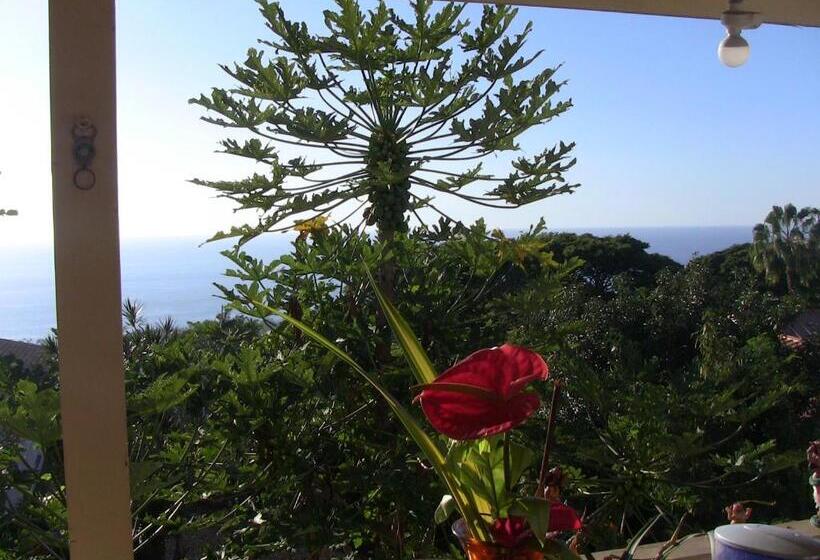 استودیوی سوپریور, Kona Hawaii Guest House A Unique Hawaii Experience