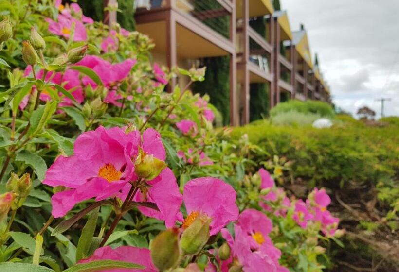 Estudio Ejecutivo, Seaview Motel And Apartments