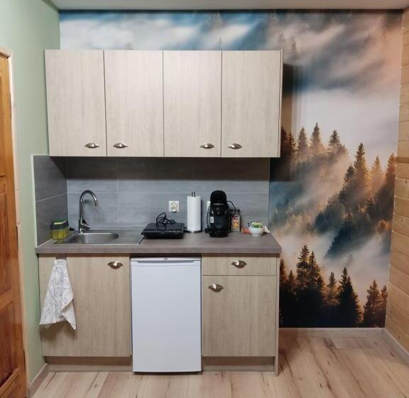اتاق استاندارد, Apartamenty U Drwala