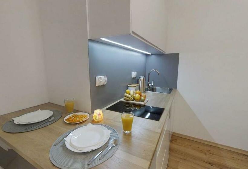 آپارتمان 1 خوابه, Aparthotel Tectum Tectumapartments