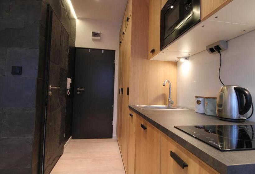 آپارتمان 1 خوابه, Aparthotel Tectum Tectumapartments