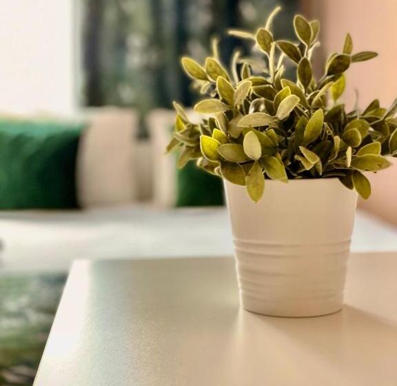 اتاق استاندارد با سرویس بهداشتی مشترک, Backpack Apart Rooms