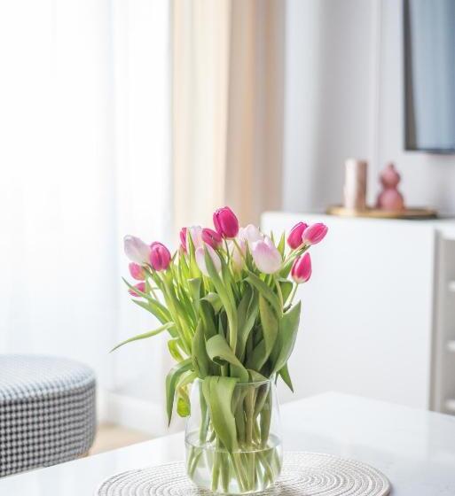 سوئیت جونیور خانوادگی, Słone Residence Apartamenty & Beer Spa