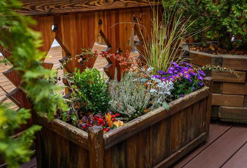 آپارتمان 1 خوابه با بالکن, Visitzakopane   Willa Bajka Apartments