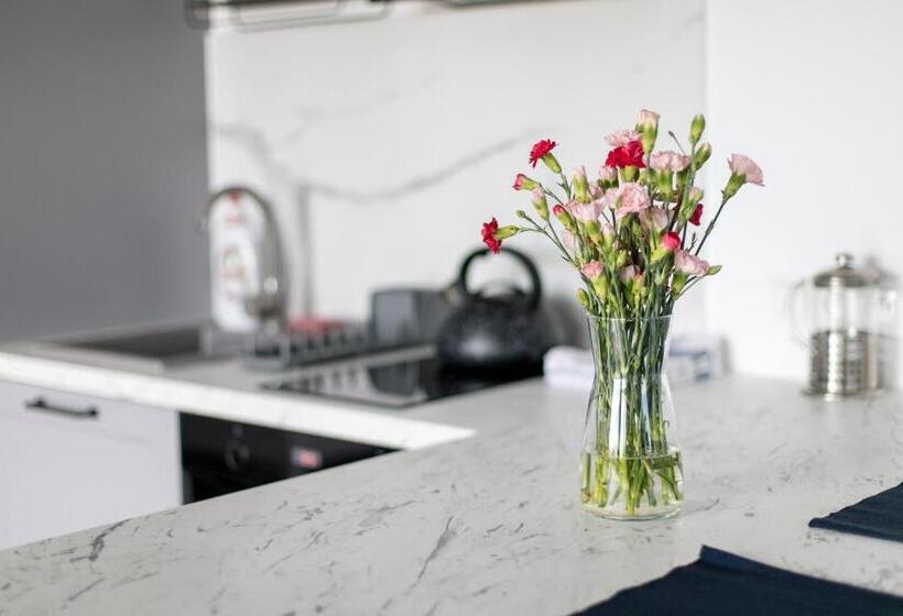 استودیو استاندارد با تراس, Apartamenty Zielona Lipka