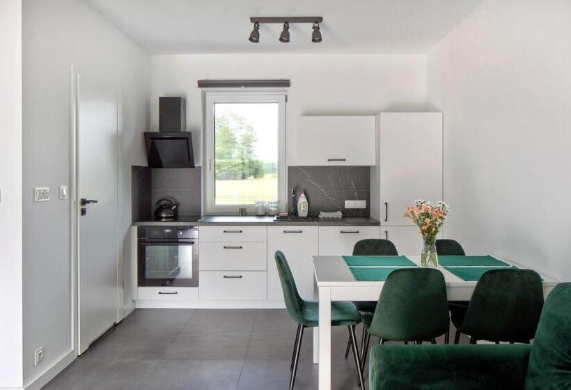 اتاق دوبلکس, Apartamenty Zielona Lipka