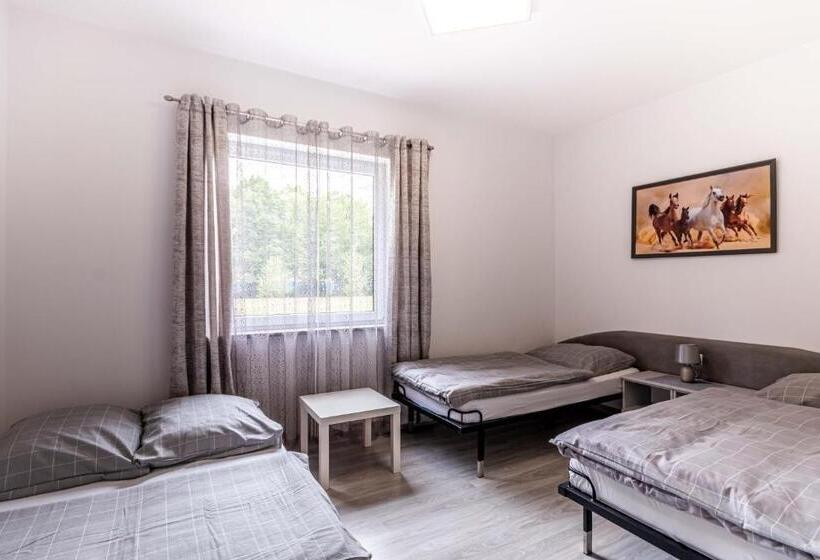 اتاق استاندارد سه نفره, Motel Oliv