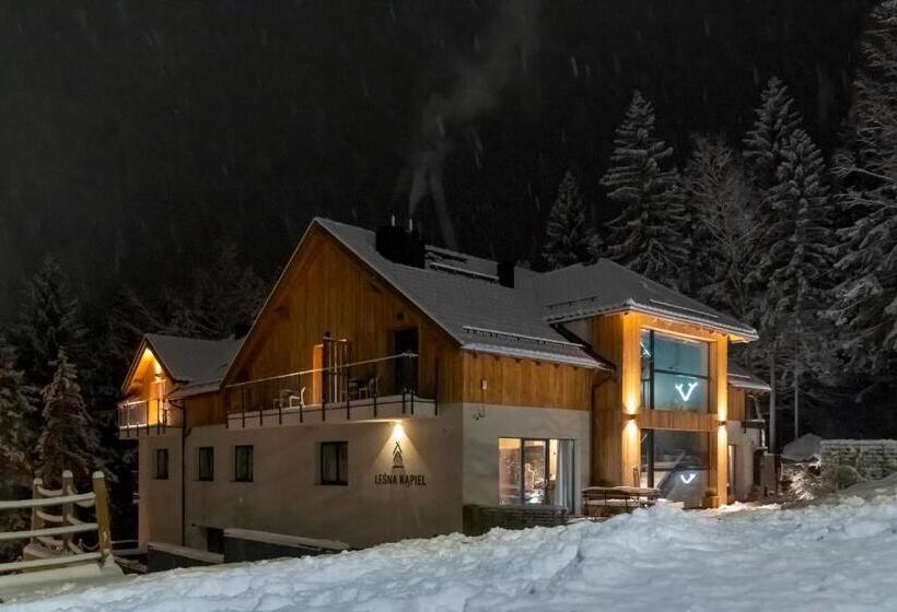 آپارتمان 1 خوابه, Leśna Kąpiel