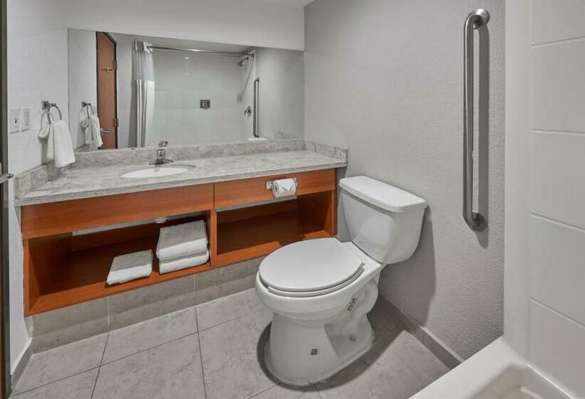 스위트, Extended Suites Monterrey Aeropuerto