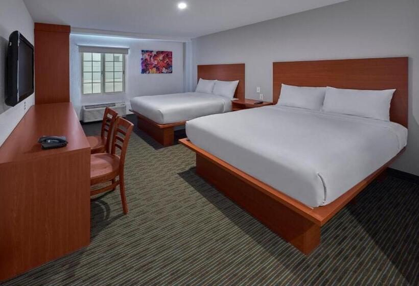 스위트, Extended Suites Monterrey Aeropuerto