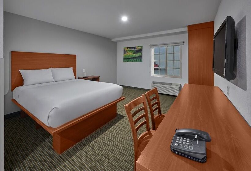 스위트, Extended Suites Monterrey Aeropuerto