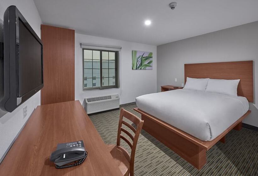 스위트, Extended Suites Monterrey Aeropuerto