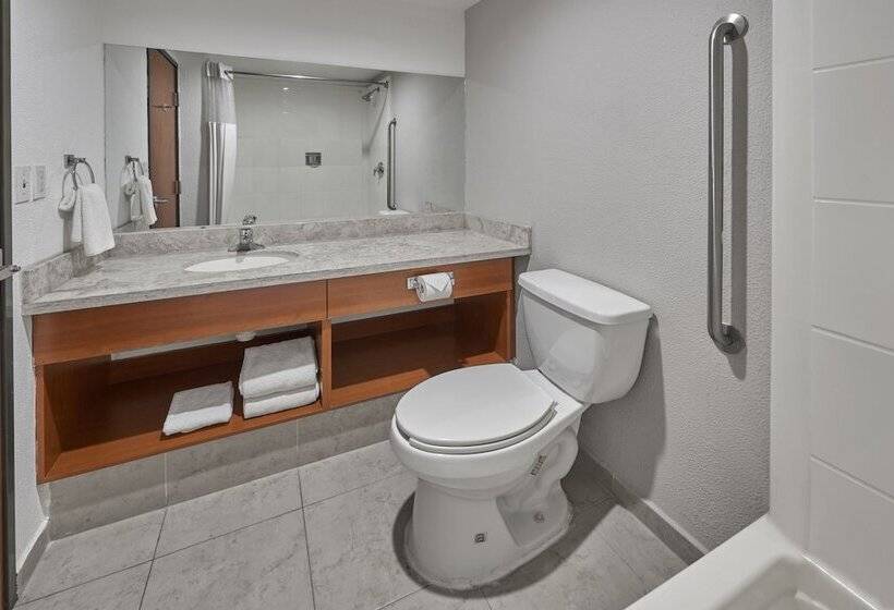 스위트, Extended Suites Monterrey Aeropuerto