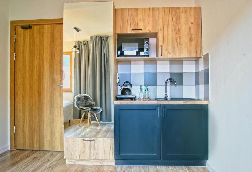 استودیو استاندارد با بالکن, Apartamenty Magia Gór