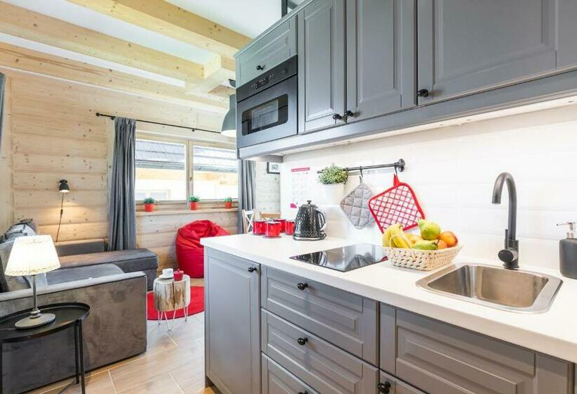 آپارتمان 1 خوابه با تراس, Apartamenty Zobacz Giewont Zakopane
