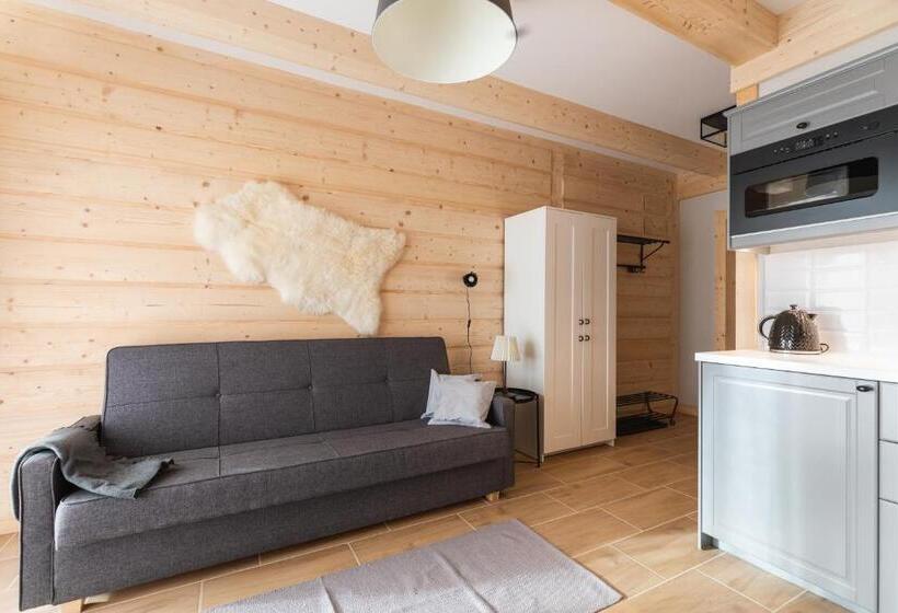 آپارتمان 1 خوابه با چشم‌انداز, Apartamenty Zobacz Giewont Zakopane