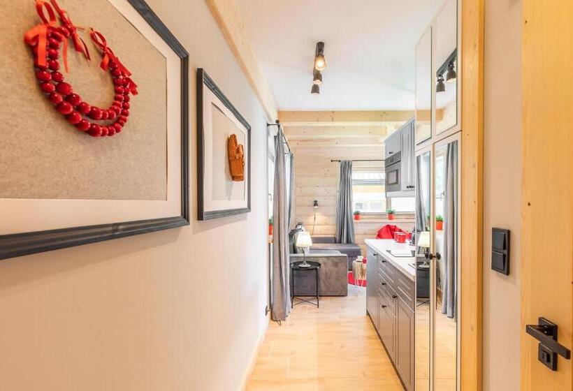آپارتمان 1 خوابه با تراس, Apartamenty Zobacz Giewont Zakopane