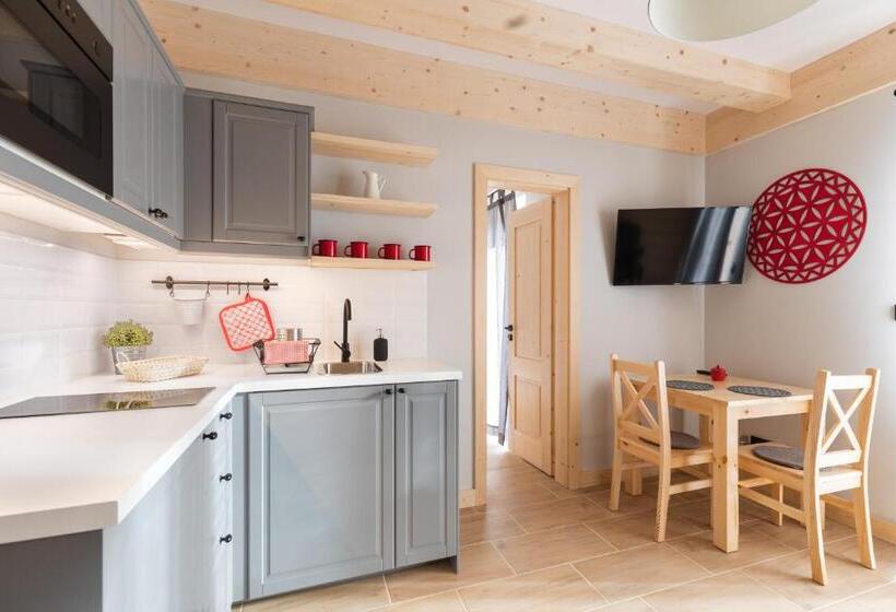 آپارتمان 1 خوابه با چشم‌انداز, Apartamenty Zobacz Giewont Zakopane