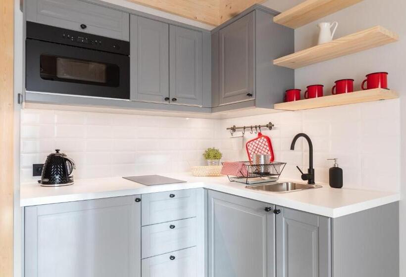 آپارتمان 1 خوابه با چشم‌انداز, Apartamenty Zobacz Giewont Zakopane