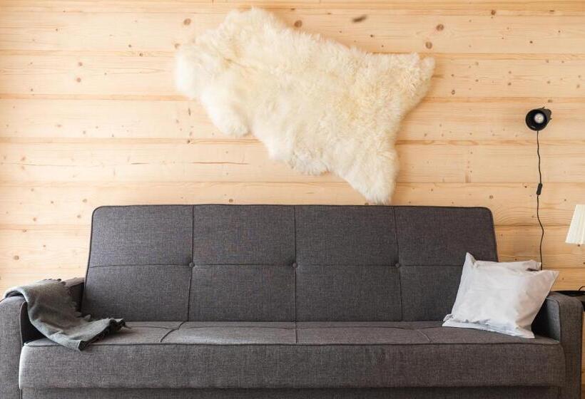 آپارتمان 1 خوابه با چشم‌انداز, Apartamenty Zobacz Giewont Zakopane