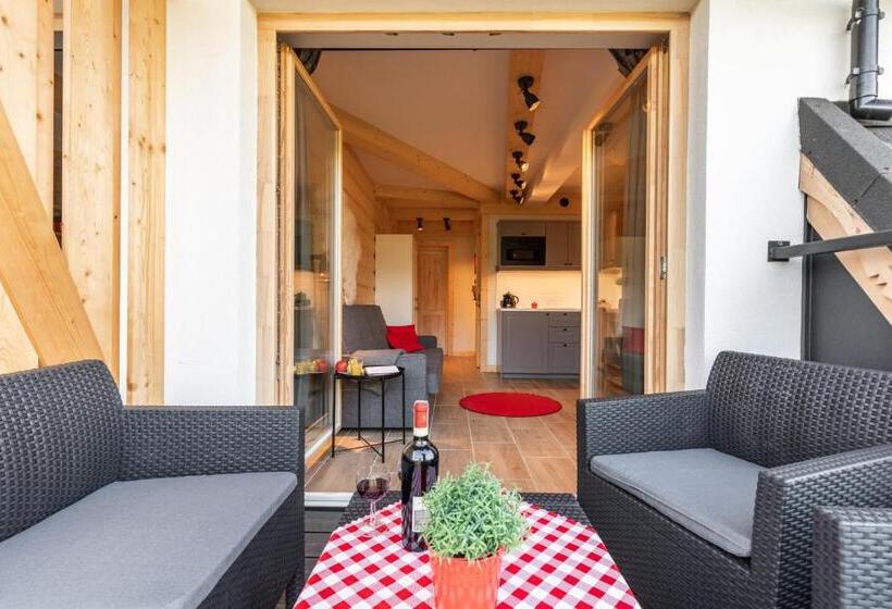 آپارتمان 1 خوابه با بالکن, Apartamenty Zobacz Giewont Zakopane