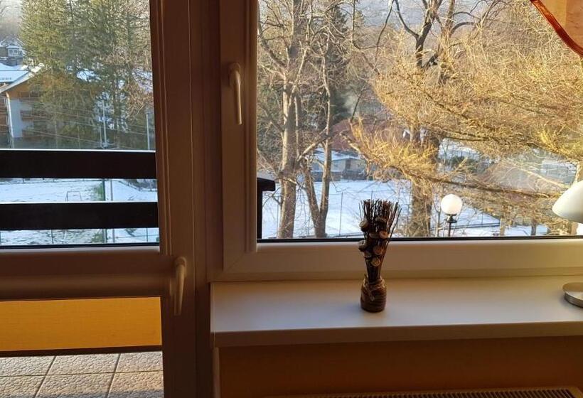 اتاق استاندارد با چشم‌انداز کوهستان, Dom Wczasowy Przy Skałkach
