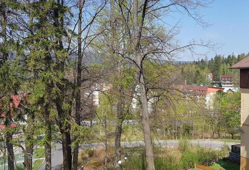 اتاق استاندارد یک نفره, Dom Wczasowy Przy Skałkach