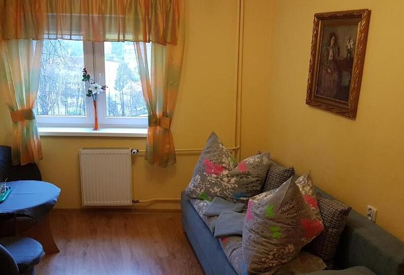 اتاق استاندارد یک نفره, Dom Wczasowy Przy Skałkach