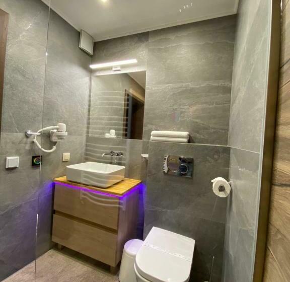 آپارتمان 1 خوابه با تراس, Willa Pod Czantorią Spa Ustroń