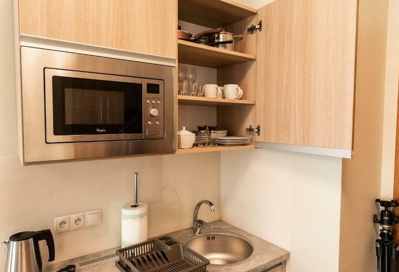デラックススタジオ, Metropolis Apartamenty Centrum