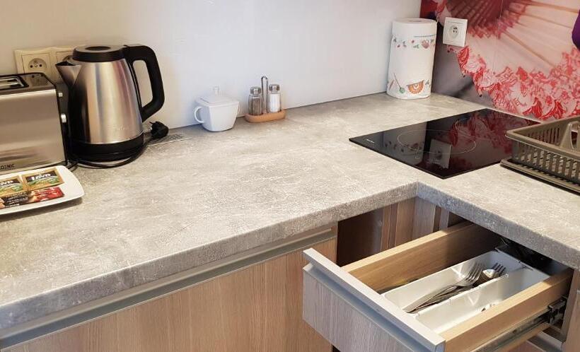 ベーシックルーム, Metropolis Apartamenty Centrum