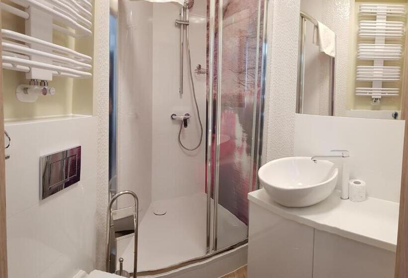 ベーシックルーム, Metropolis Apartamenty Centrum