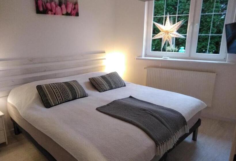 استودیوی استاندارد, Mizerówka Guest House