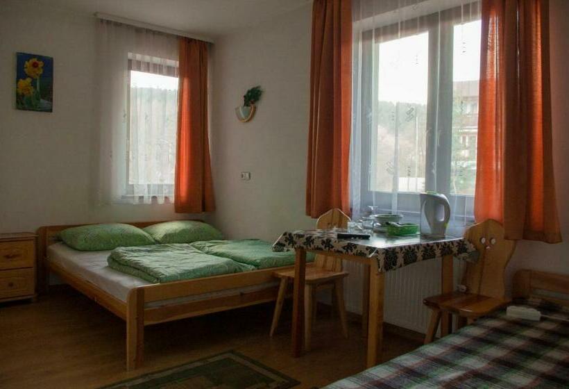 اتاق استاندارد, Willa Jafer - Zakopane Centrum
