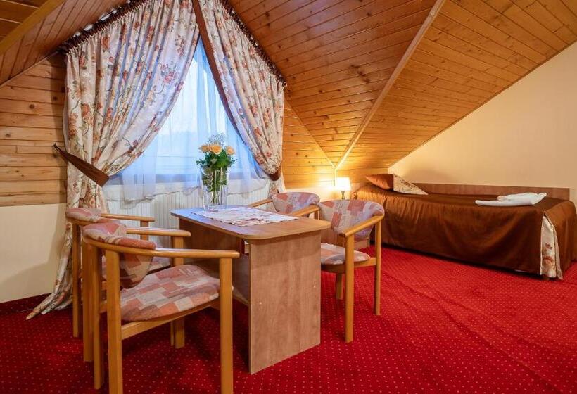 اتاق خانوادگی, Piastun Spa&wellness Krynica Zdrój