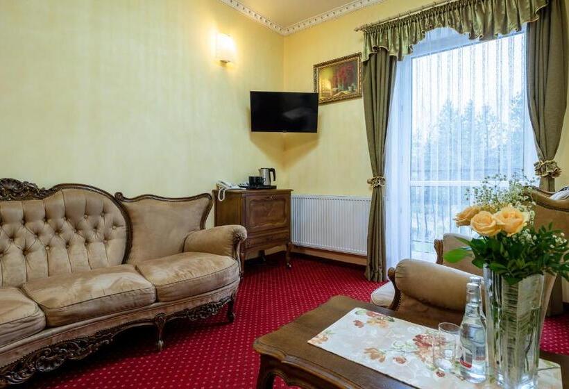 آپارتمان 1 خوابه, Piastun Spa&wellness Krynica Zdrój