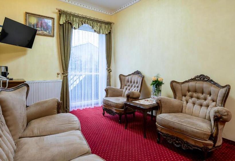 آپارتمان 1 خوابه, Piastun Spa&wellness Krynica Zdrój