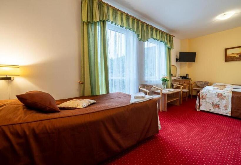 استودیو خانوادگی, Piastun Spa&wellness Krynica Zdrój
