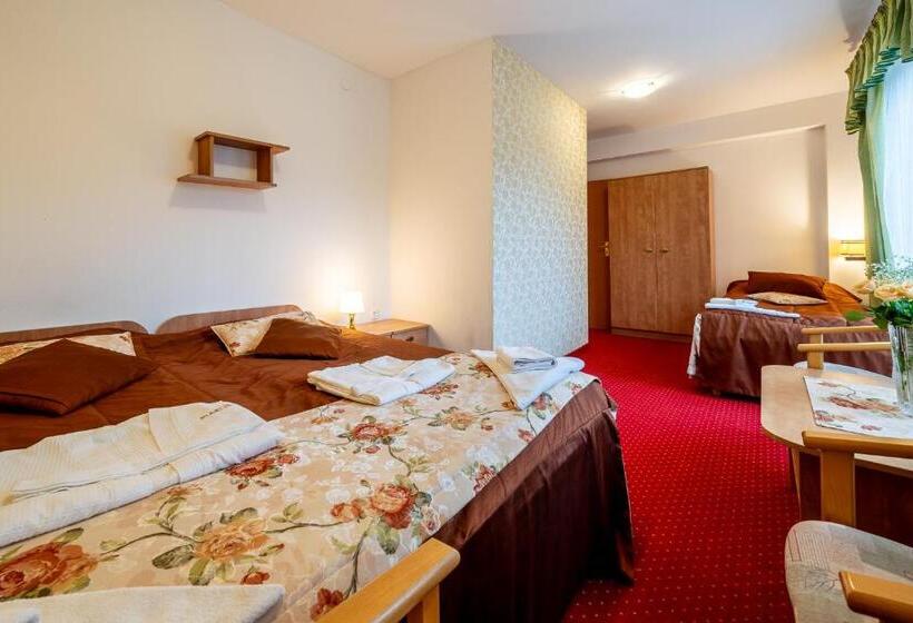 استودیو خانوادگی, Piastun Spa&wellness Krynica Zdrój