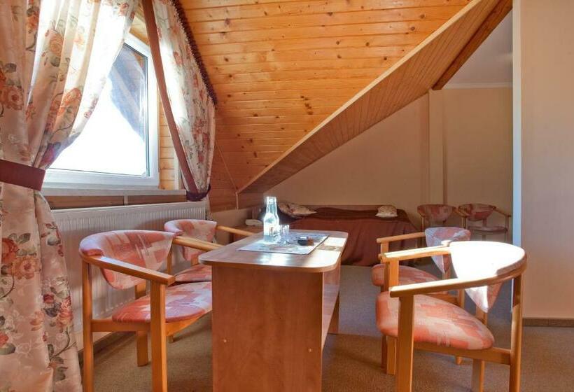 اتاق خانوادگی, Piastun Spa&wellness Krynica Zdrój