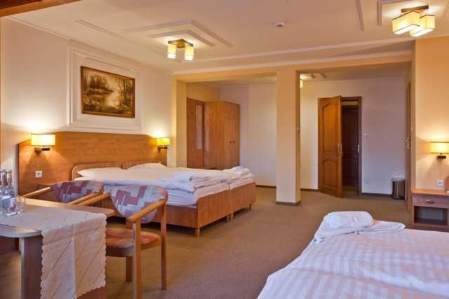 اتاق خانوادگی, Piastun Spa&wellness Krynica Zdrój