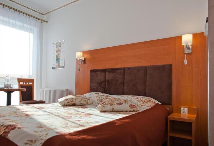 اتاق لوکس, Piastun Spa&wellness Krynica Zdrój