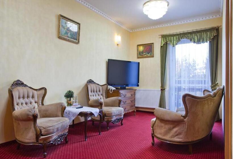 آپارتمان 1 خوابه, Piastun Spa&wellness Krynica Zdrój