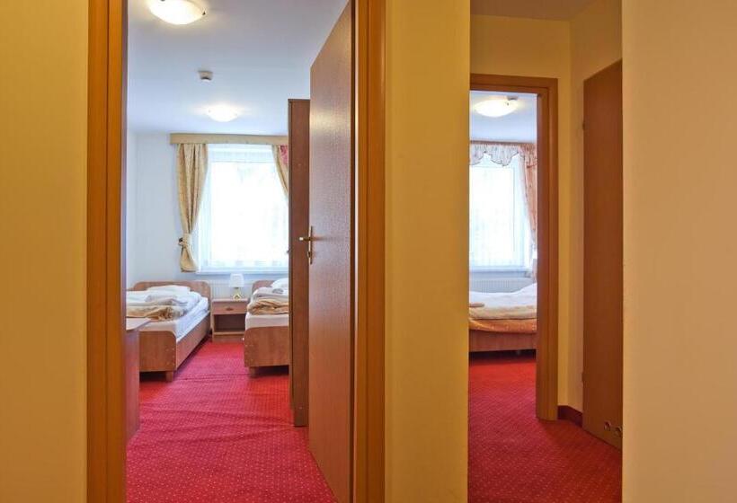 استودیو خانوادگی, Piastun Spa&wellness Krynica Zdrój