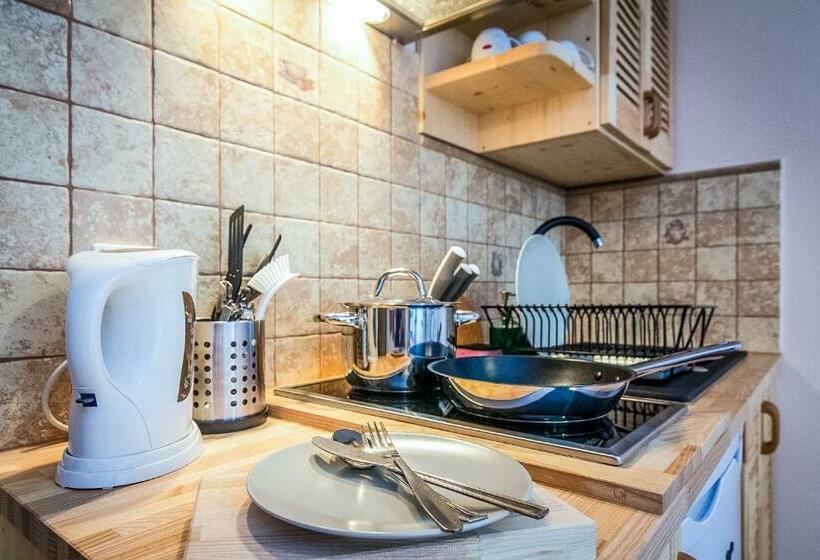 آپارتمان 1 خوابه, Aparthotel Pod Nosalem