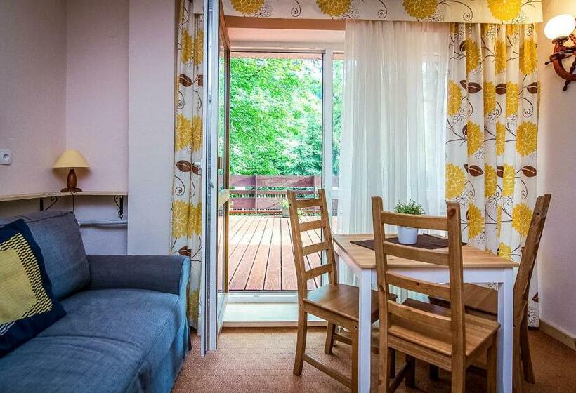 آپارتمان 1 خوابه, Aparthotel Pod Nosalem